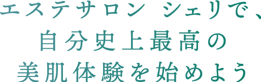 施術の流れ