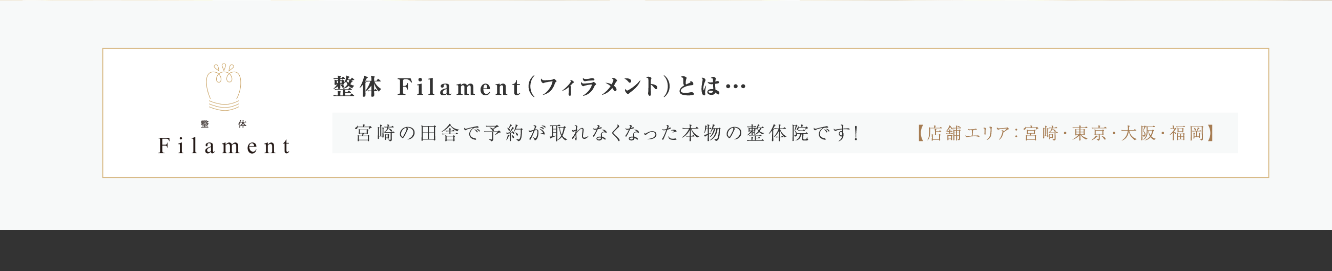 整体Filament（フィラメント）とは・・・