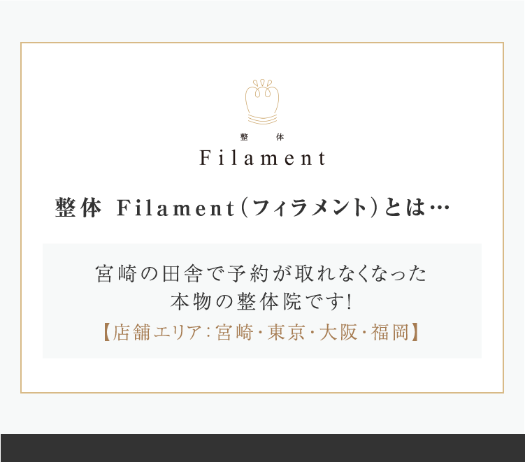 整体Filament（フィラメント）とは・・・
