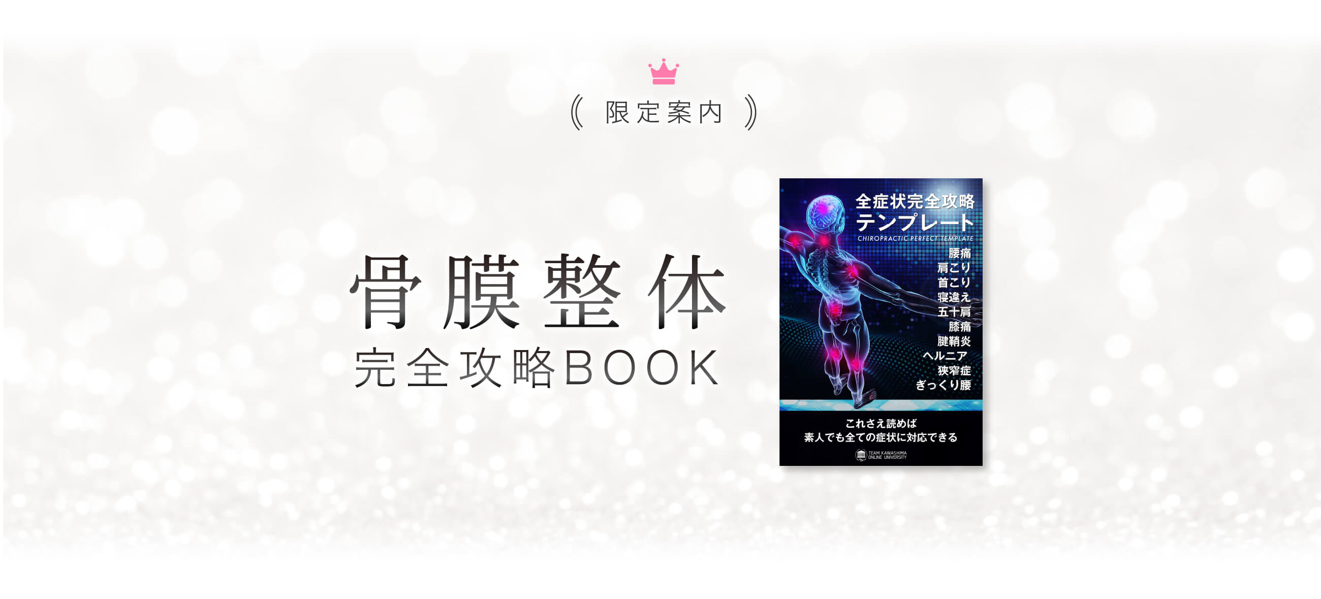 限定案内